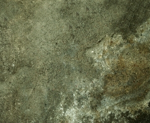 ModernStone Brick Wall