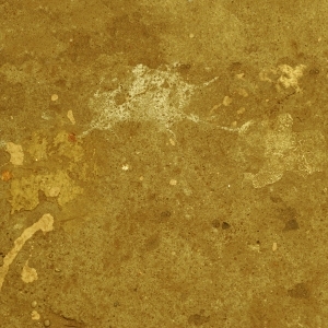 ModernStone Brick Wall