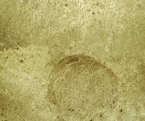 ModernStone Brick Wall