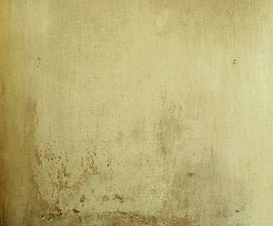 ModernStone Brick Wall