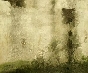 ModernStone Brick Wall