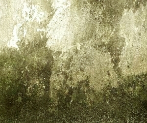 ModernStone Brick Wall