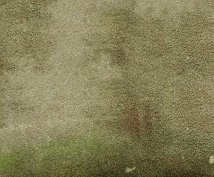 ModernStone Brick Wall