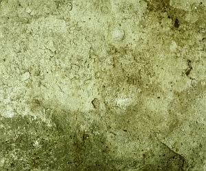 ModernStone Brick Wall