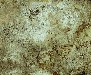 ModernStone Brick Wall