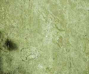 ModernStone Brick Wall