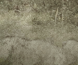 ModernStone Brick Wall