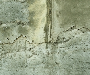 ModernStone Brick Wall