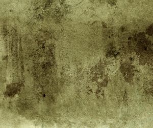 ModernStone Brick Wall