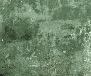 ModernStone Brick Wall