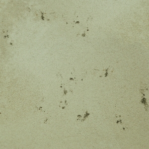 ModernStone Brick Wall