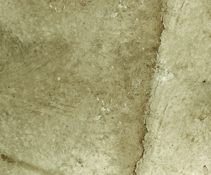 ModernStone Brick Wall