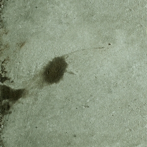 ModernStone Brick Wall