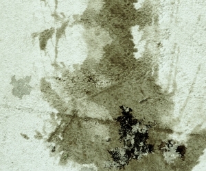 ModernStone Brick Wall