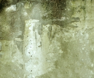 ModernStone Brick Wall