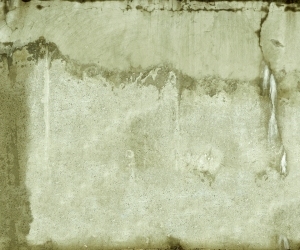 ModernStone Brick Wall