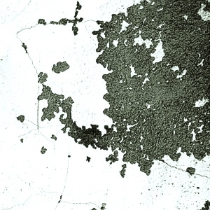 ModernStone Brick Wall