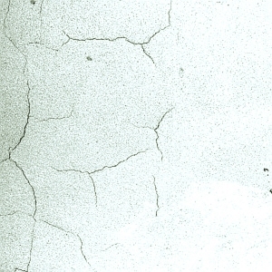 ModernStone Brick Wall