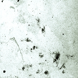 ModernStone Brick Wall