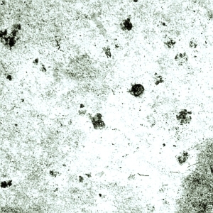 ModernStone Brick Wall