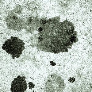 ModernStone Brick Wall