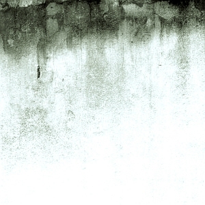 ModernStone Brick Wall