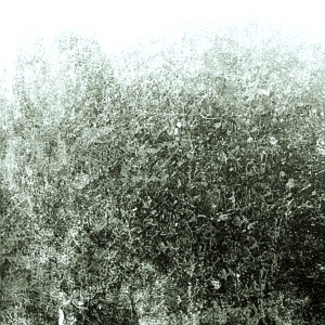 ModernStone Brick Wall