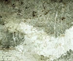 ModernStone Brick Wall