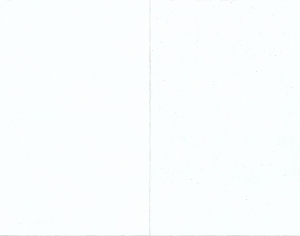 ModernStone Brick Wall