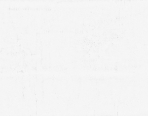 ModernStone Brick Wall