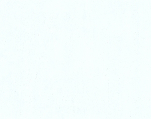 ModernStone Brick Wall