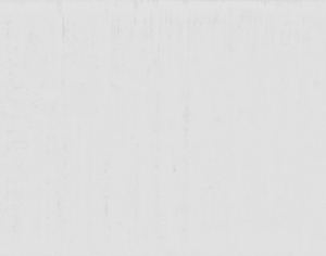 ModernStone Brick Wall