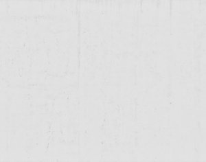 ModernStone Brick Wall