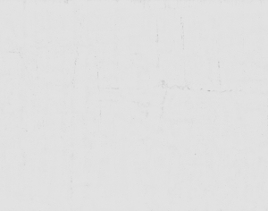 ModernStone Brick Wall