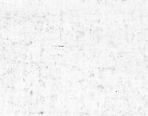 ModernStone Brick Wall