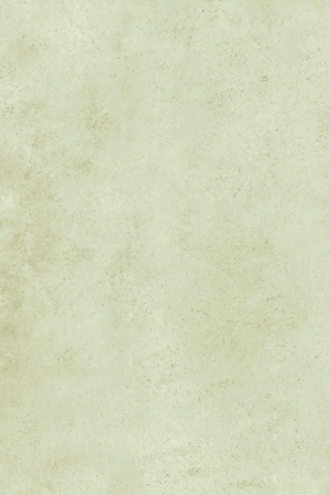 ModernStone Brick Wall