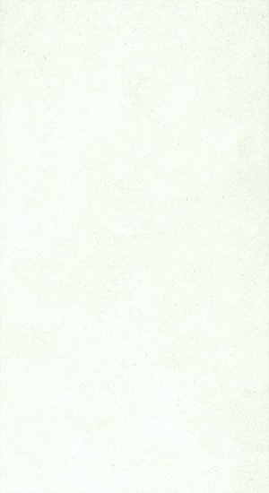 ModernStone Brick Wall