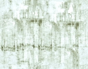 ModernStone Brick Wall