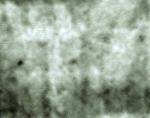 ModernStone Brick Wall