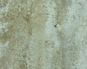 ModernStone Brick Wall