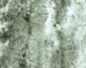 ModernStone Brick Wall