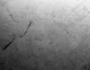 ModernStone Brick Wall