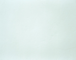 ModernStone Brick Wall