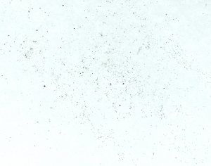 ModernStone Brick Wall