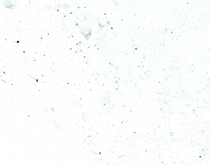 ModernStone Brick Wall