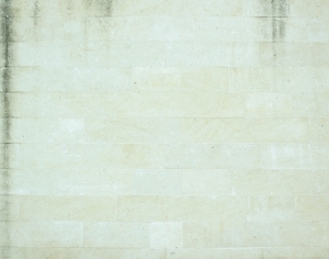 ModernStone Brick Wall