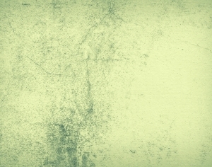 ModernStone Brick Wall