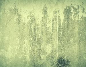 ModernStone Brick Wall