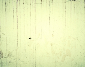 ModernStone Brick Wall