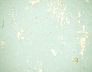 ModernStone Brick Wall